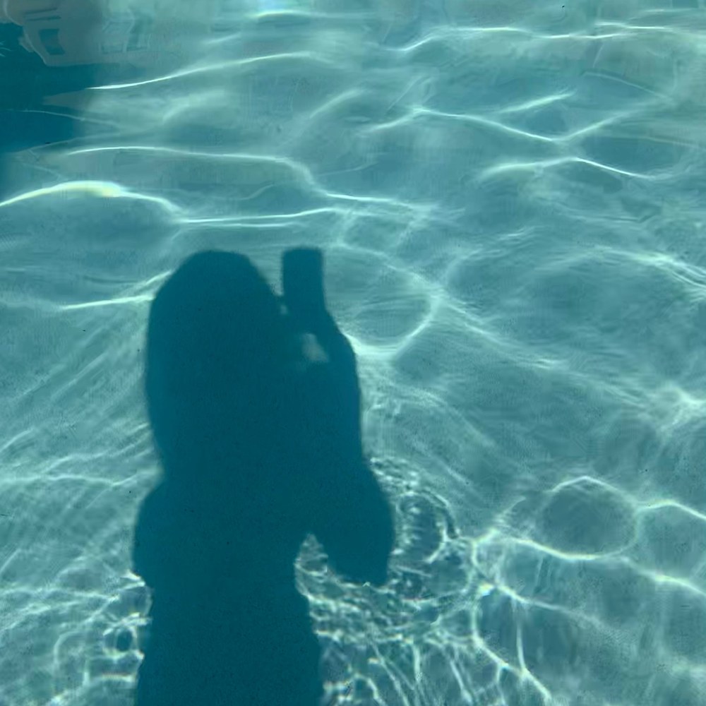 Meet your Posher, Gabby